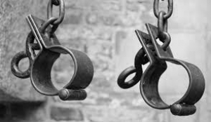 اخترع الأوربيون مفهوم &quot;العرق&quot; لتبرير الاستعباد وسمَوه علما!!