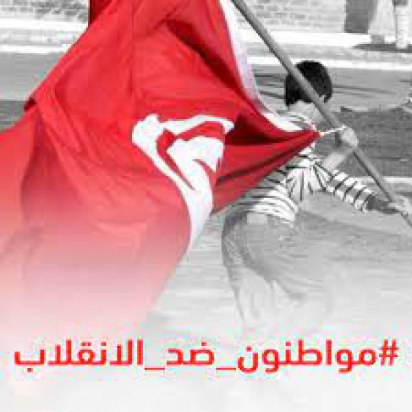 &quot;مواطنون ضد الانقلاب&quot;...تجربة تونسية مُلهمة